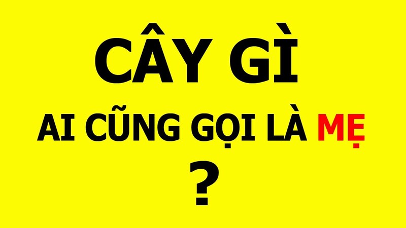 100 câu đố mẹo 