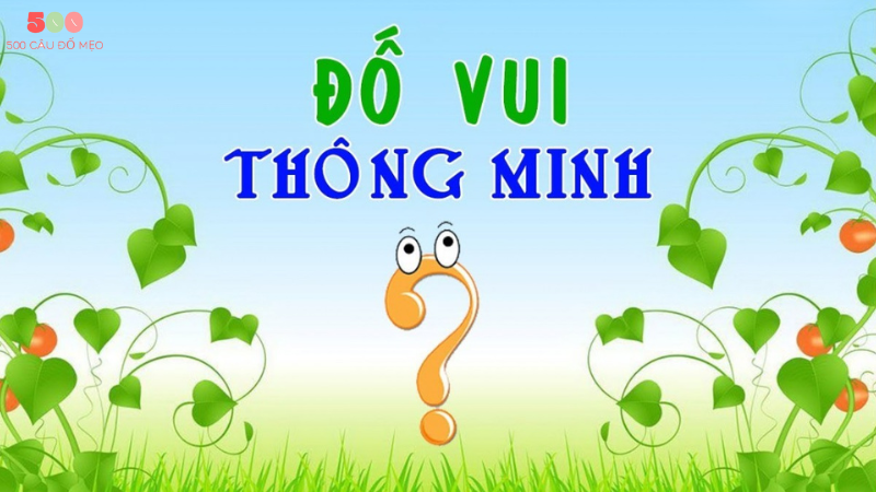 câu đố mẹo hay