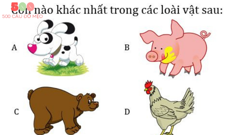 câu đố mẹo có đáp án