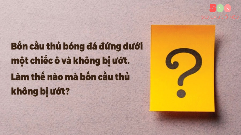 các câu đố mẹo khó